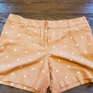 NWT Loft Shorts